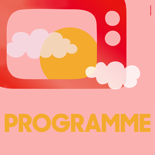 Link Programme